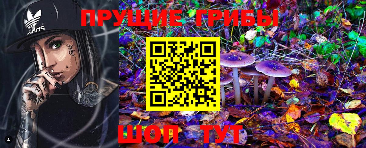 Галлюциногенные грибы GOLDEN TEACHER Чернушка